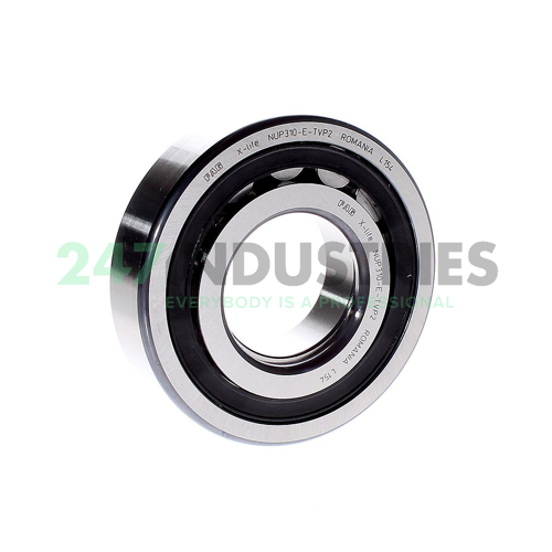 NUP310E.TVP2 FAG