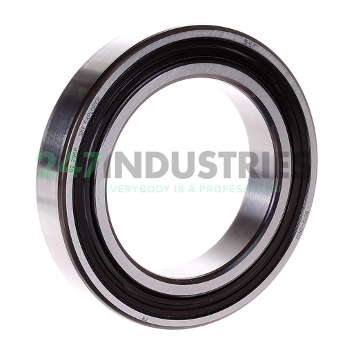 6013-2RS1 SKF