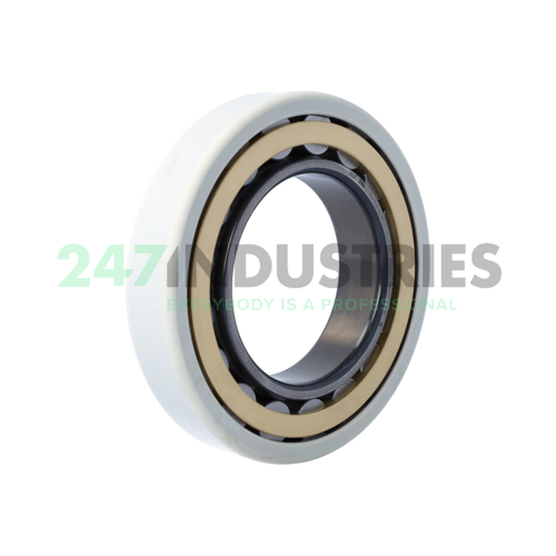 NU219-E-XL-M1-F1-J20AA-C3 FAG