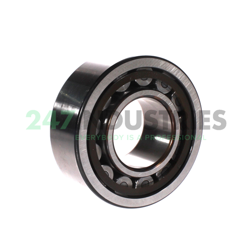 NU2311ECP/C3 SKF Image 3