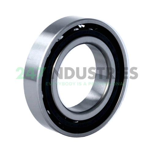 7007CTYNP5 NSK Image 2