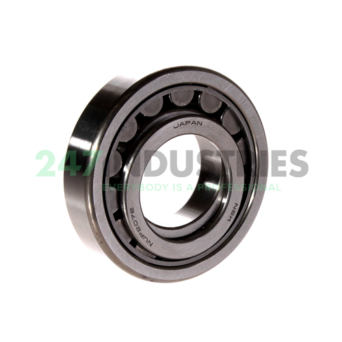 NUP207EW NSK Image 2