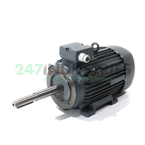 IE2-WE1R100L4FANHFDS VEM