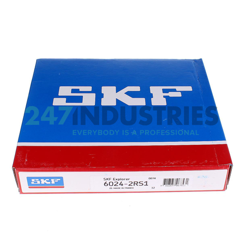 6024-2RS1 SKF Image 5