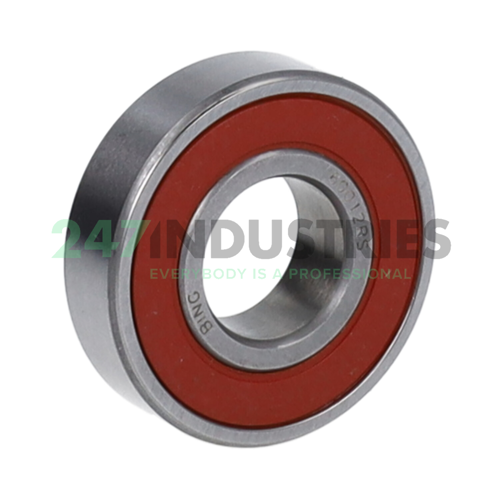 6001 2RS Bing Netherlands