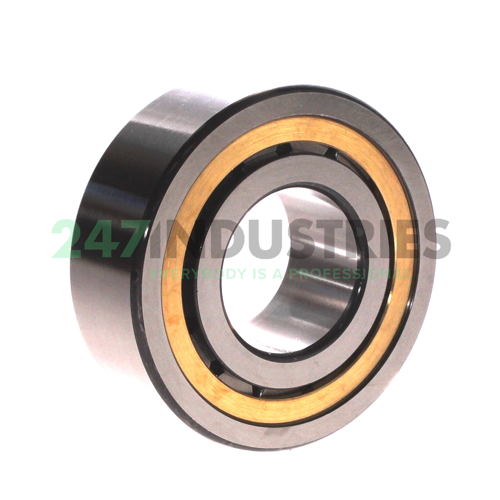 NJ2309-E-XL-MPAX-C3 FAG Image 2