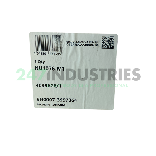 NU1076-M1 FAG Image 2