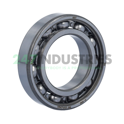 6007 SKF