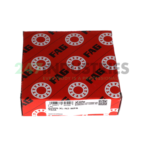QJ309-XL-N2-MPA-T42A FAG Image 3