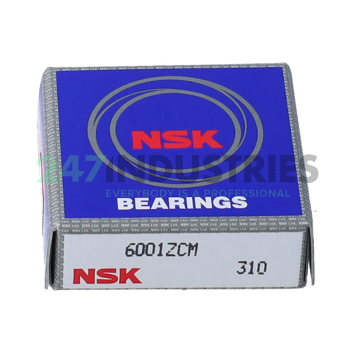 6001ZCM NSK