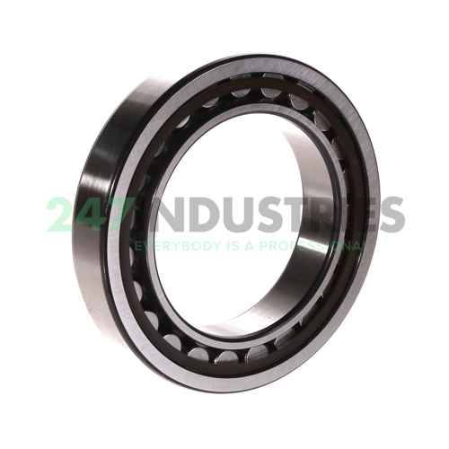 NU1013ECP SKF Image 3