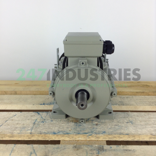 ME112M-4B3 Gibbons Image 4