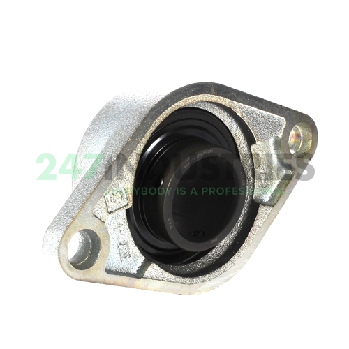 FYT40TF/VA201 SKF Image 3