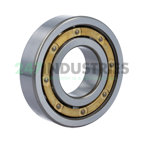 6309-M-C3 FAG Image 2