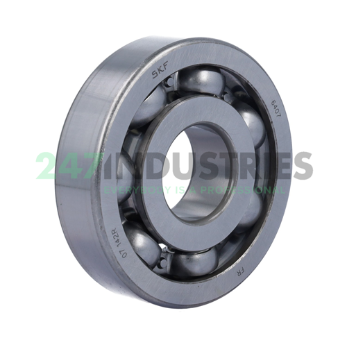 6407 SKF