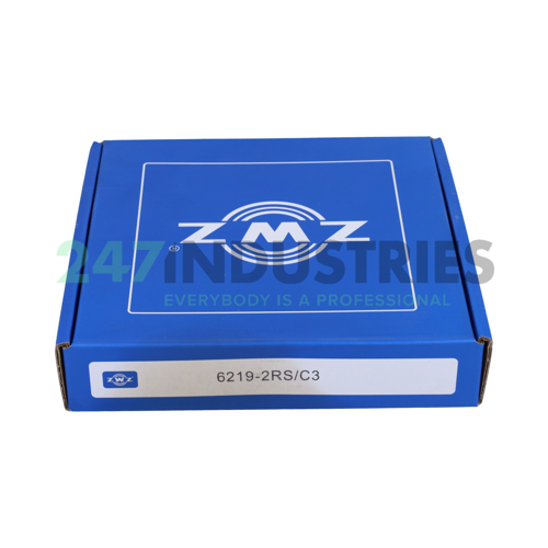 6219 2RS C3 ZWZ Image 3