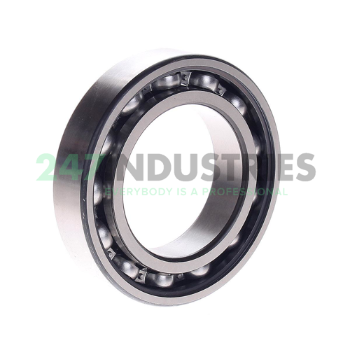 6009-Z SKF Image 2