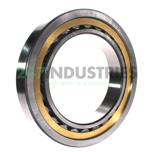 NU1036-XL-M1A-C3 FAG Image 3