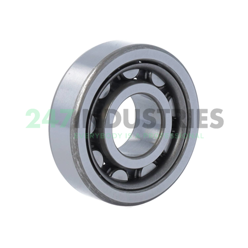 NU304WC3 NSK Image 2