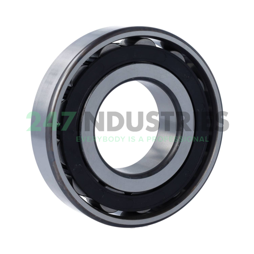 N313-E-TVP2 FAG Image 2