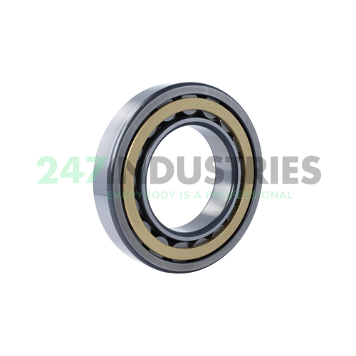 NU219-E-XL-M1-F1-C4 FAG Image 2