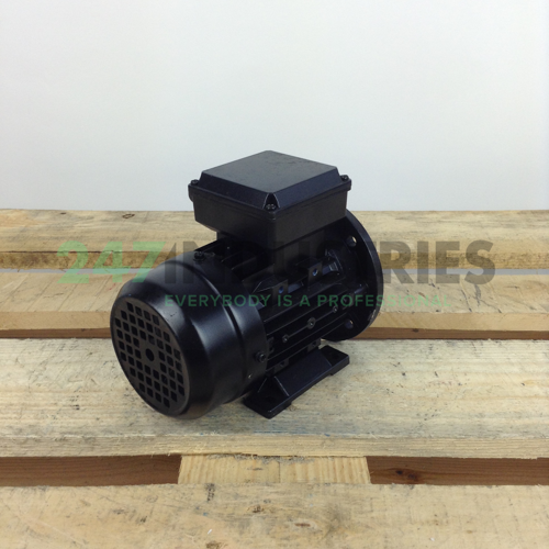 MS6322B35 Gibbons Image 3