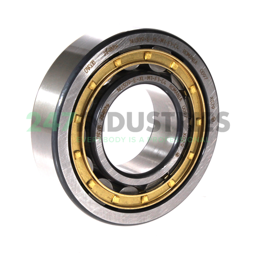 NU309-E-XL-M1-F1-C4 FAG