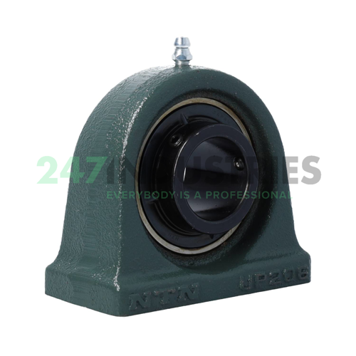 UCPA206D1 NTN
