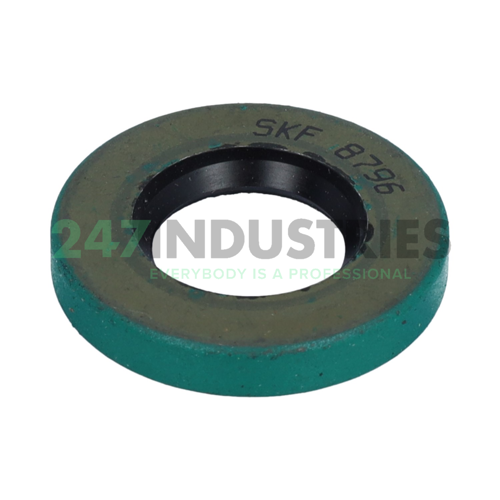 8796 SKF