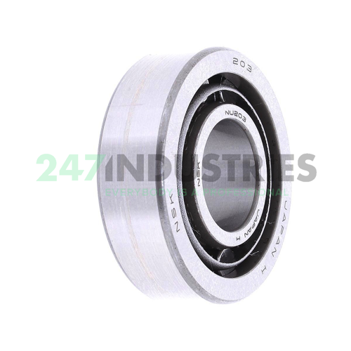 NU203 NSK