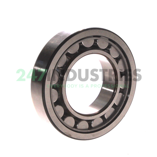 NJ209ECJ/C3 SKF Image 2