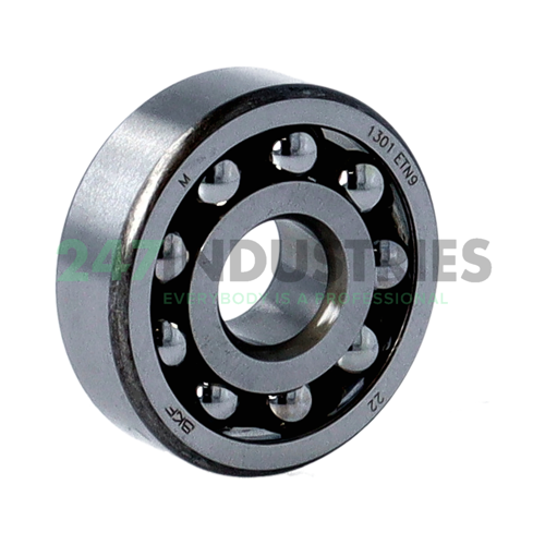 1301ETN9 SKF