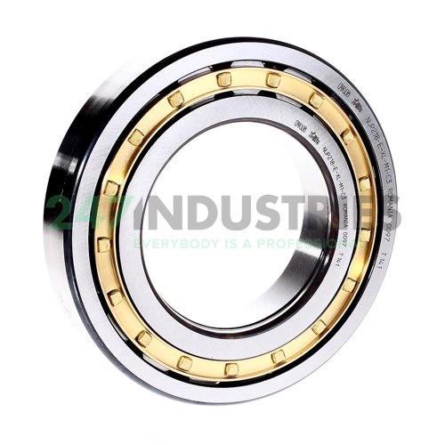 NUP218-E-XL-M1-C3 FAG