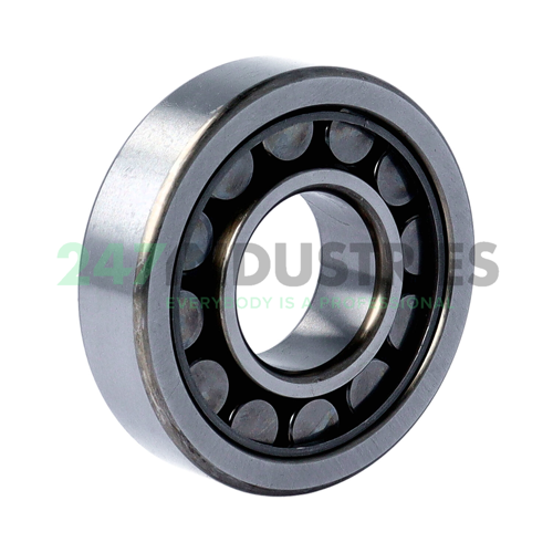 NU306EWC3 NSK Image 2