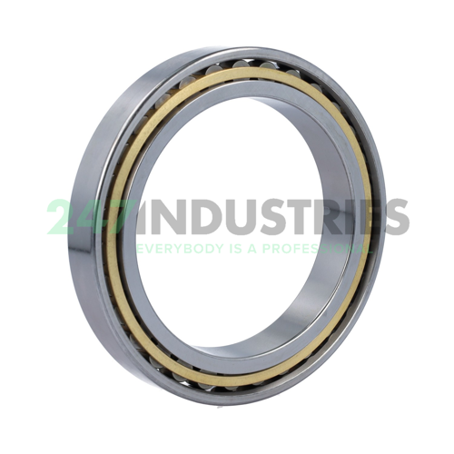 N1920-K-M1-SP FAG Image 2