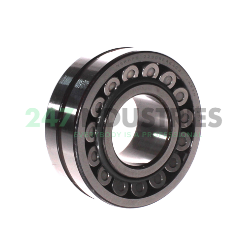 22309EAE4C3 NSK