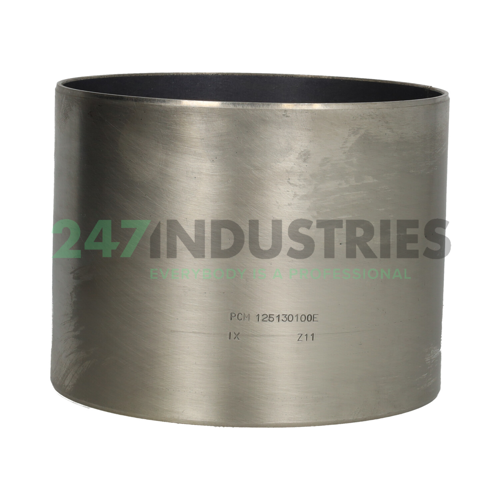PCM125130100E SKF