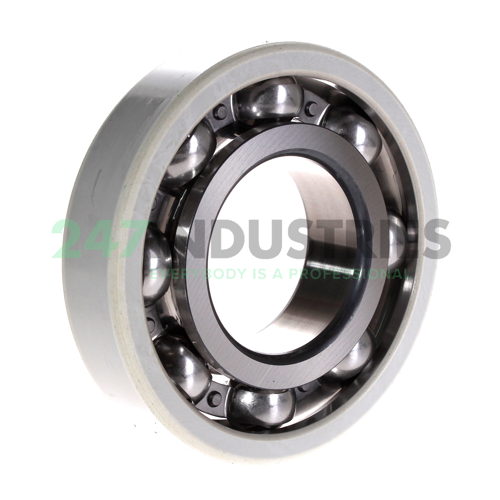 6313-J20AA-C3 FAG Image 2