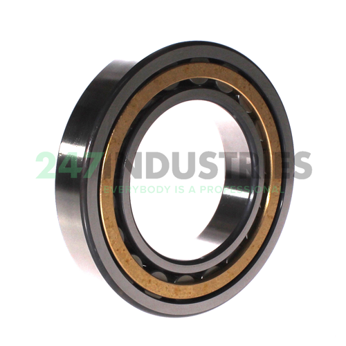 NU216-E-XL-M1-C4 FAG Image 2