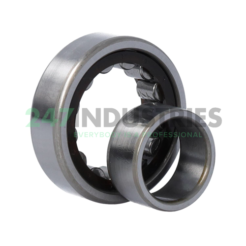 NU205ETC3 NSK Image 3