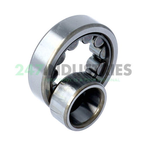 NU305EWC3 NSK Image 3