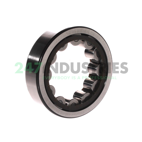 RNU308ECP SKF Image 2