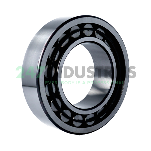 C2220/C3 SKF Image 2