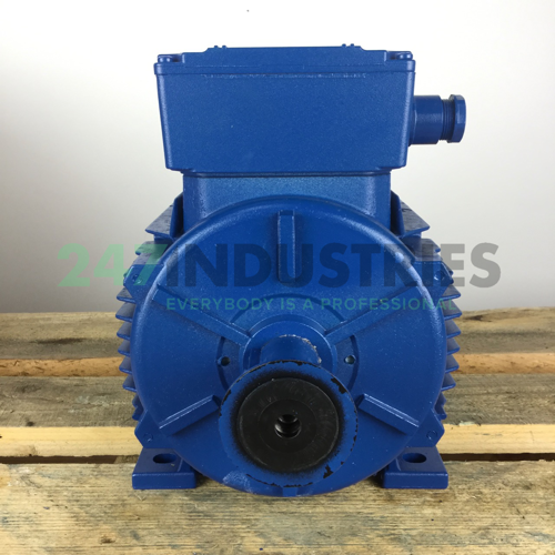 A4C1061A00016 Marelli Motori Image 4