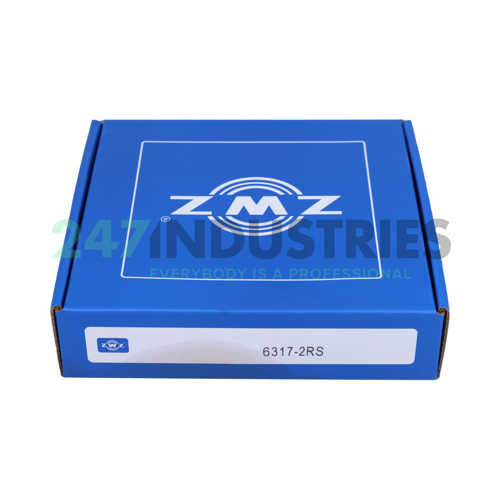 6317 2RS ZWZ Image 3