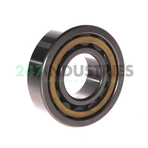 NU307EM C3 FBJ Image 2