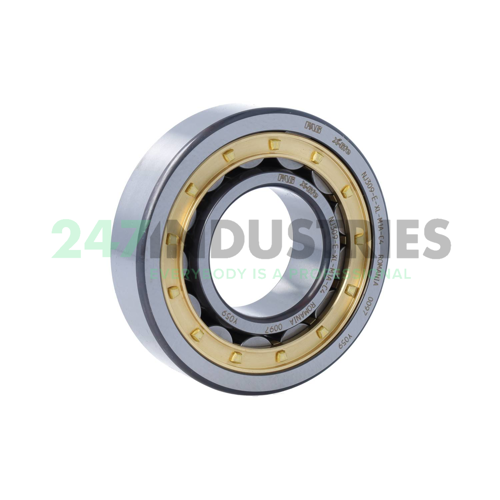 NJ309-E-XL-M1A-C4 FAG