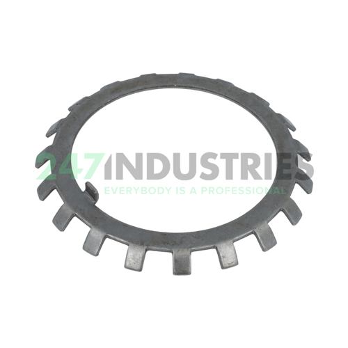 W19 Whittet-Higgins Image 2