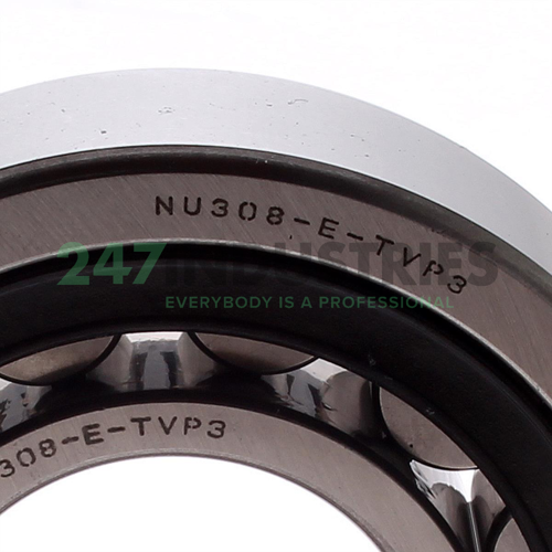 NU308-E-TVP3 NKE Image 3