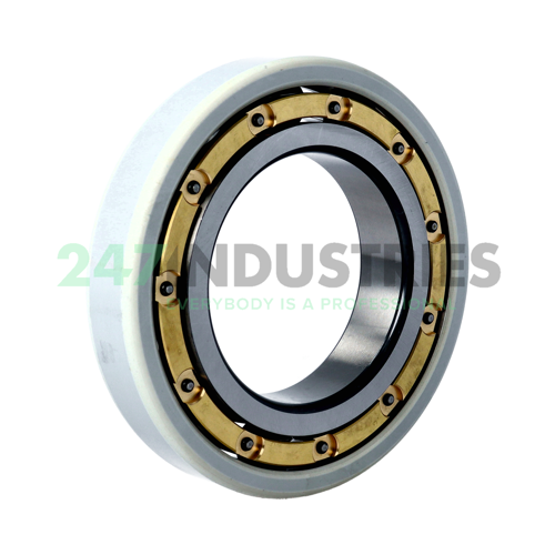 6217-M-S1-J20B-H67C-C4 FAG Image 2